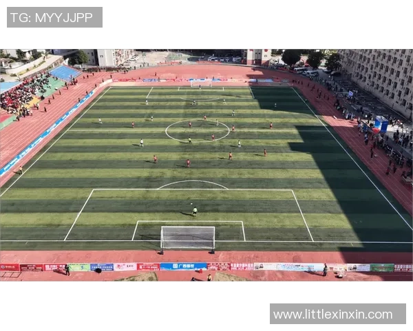 足球喇叭视频带你领略激情四射的赛场氛围与精彩瞬间